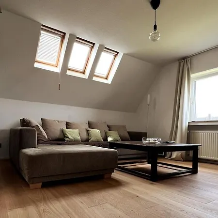 Apartment Gemütliche In Rheinnähe